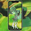 911制造厂果冻制造厂麻花制造厂全站版